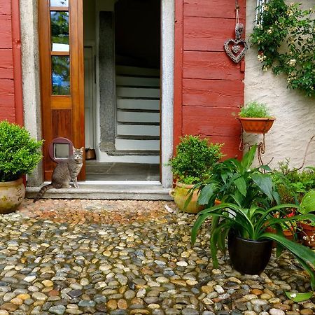 Bed & Breakfast Uvablu Trontano Ngoại thất bức ảnh